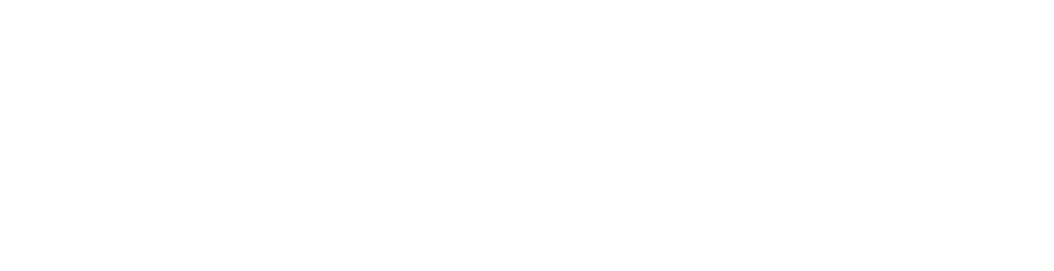 Emerging Artist 2019 Award